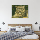 ウォッ静かチャー – Snow Leopard in Forest Light キャンバスプリント (インサイチュ (寝室))