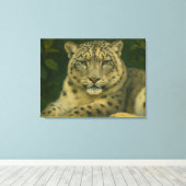 ウォッ静かチャー – Snow Leopard in Forest Light キャンバスプリント (インサイチュ (ウッドフロア))