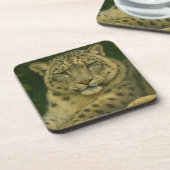 ウォッ静かチャー – Snow Leopard in Forest Light コースター (左側)