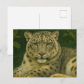 ウォッ静かチャー – Snow Leopard in Forest Light ポストカード (正面/裏面)