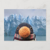 ウォブル ポストカード (正面)