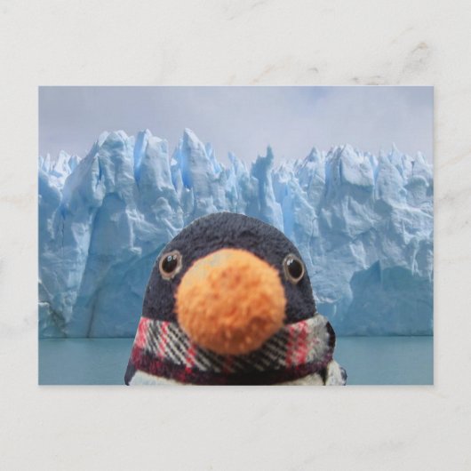 ウォブル ポストカード (正面)