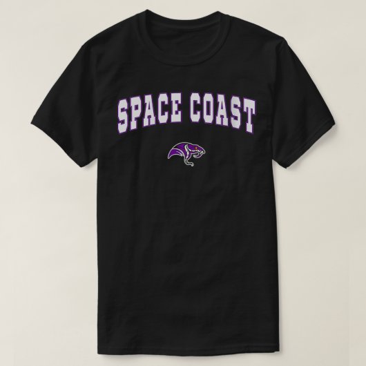 ウォメンズ宇宙コーストハイスクールバイパーズVNeck Tシャツ (デザイン正面)