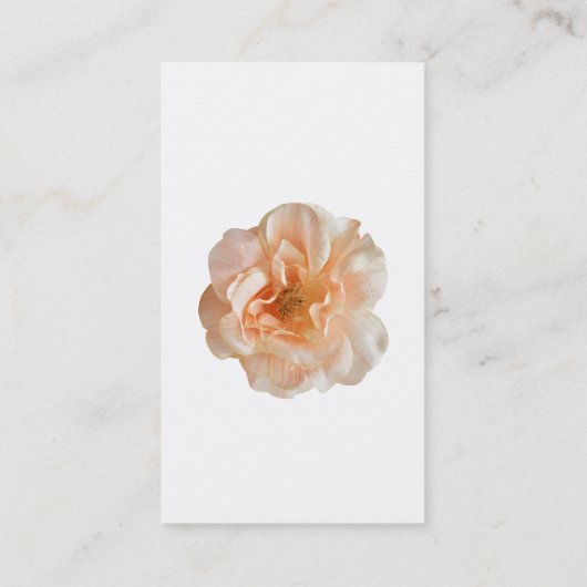 ウォメンモダンズガーデンバラプロフパーソナライズされたァイル 名刺 (裏面)