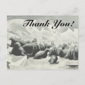 ウォラスの群れ「ありがとう！」 ポストカード (正面)