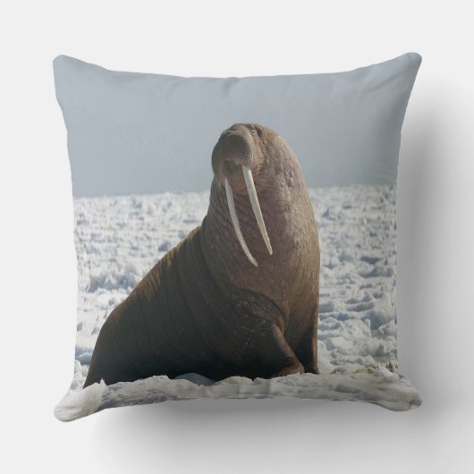 ウォラス・オン・アイス クッション (裏面)