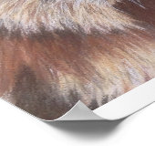 ウォリー・ウォンバット ポスター (角)