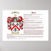 ウォルシュ（意味） ポスター (正面)