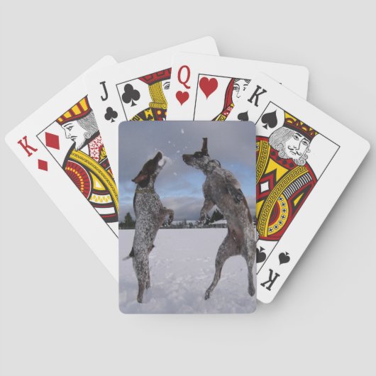 ウォルターおよびLuther、の上で、および遠くになトランプ トランプ (裏面)