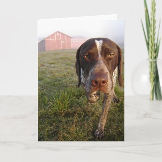 ウォルターの納屋Notecard カード (正面)