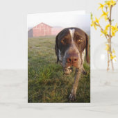 ウォルターの納屋Notecard カード (黄色い花)