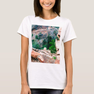 ウォルターズウィグルズジオンナショナルパークユタ Tシャツ