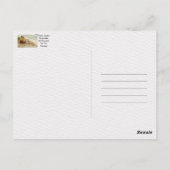 ウォルター・マーチン・バウンホーファー、彼はYesと言わなかった ポストカード (裏面)