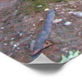 ウォルデンポンドトレイルプリント ポスター (角)