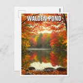 ウォルデンポンドマサチューセッツ旅行 ポストカード (正面/裏面)