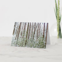 *ウォルデン池：ホリデー-沈黙- A-ユニバーサル避難所