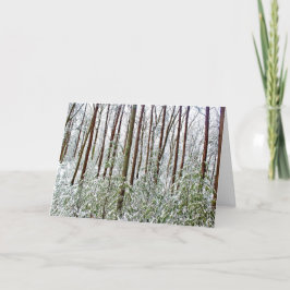 *ウォルデン池：ホリデー-沈黙- A-ユニバーサル避難所 シーズンカード