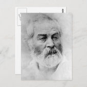 ウォルト・ホイットマン南北戦争年齢44 ポストカード (正面/裏面)