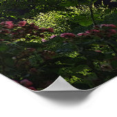 ウォルト・ホイットマン – 詩 ポスター (角)