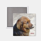 ウォルド磁石 マグネット (正面/裏面)