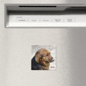 ウォルド磁石 マグネット (インサイチュ (食洗機))