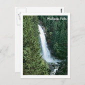 ウォレス秋 ポストカード (正面/裏面)