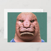 ウォレス風変わりス氏はがき ポストカード (正面/裏面)