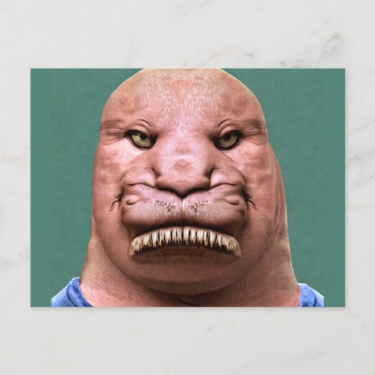 ウォレス風変わりス氏はがき ポストカード (正面)