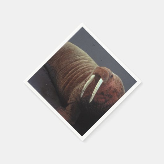 ウォレス スタンダードカクテルナプキン (角)