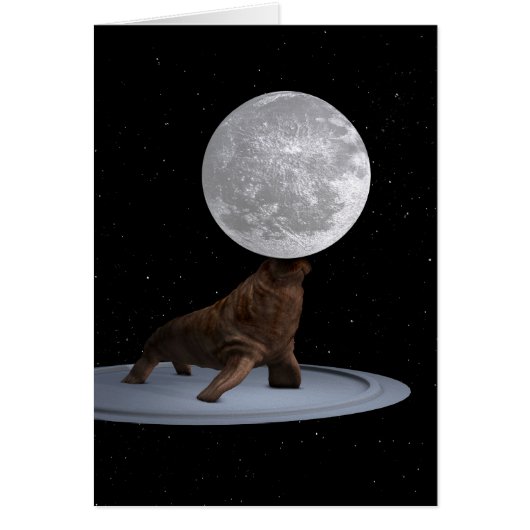 ウォレス・バランス・ザ・ムーン (正面)