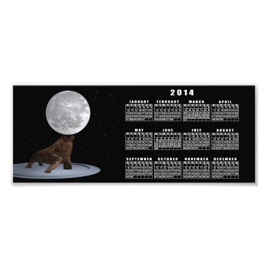 ウォレス・バランス・ザ・ムーン フォトプリント            (正面)