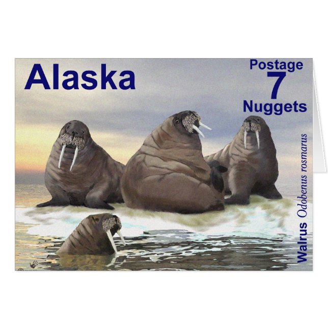 ウォレス – 4兄弟 (正面横)