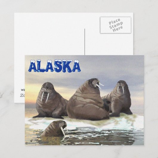 ウォレス – 4兄弟 ポストカード (正面/裏面)