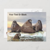 ウォレス – 4兄弟 ポストカード (正面/裏面)