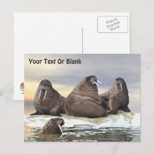 ウォレス – 4兄弟 ポストカード (正面/裏面)