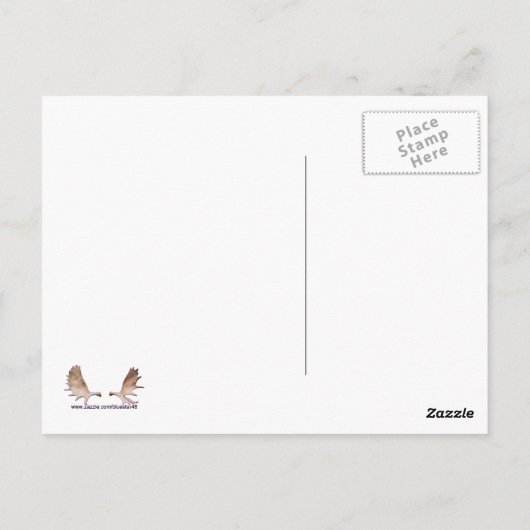 ウォレス – 4兄弟 ポストカード (裏面)