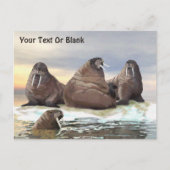 ウォレス – 4兄弟 ポストカード (正面)