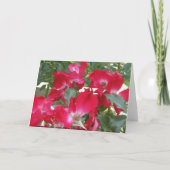 ウォレンとバラ、誕生日 カード (裏面)