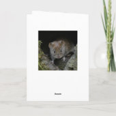 ウォレン・スコットランド カード (裏面)