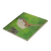 ウォレン タイル (側面)