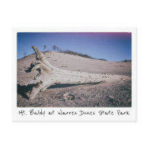 ウォレン・デューンズ州立公園 マウント・ボールドウィー ミシガン