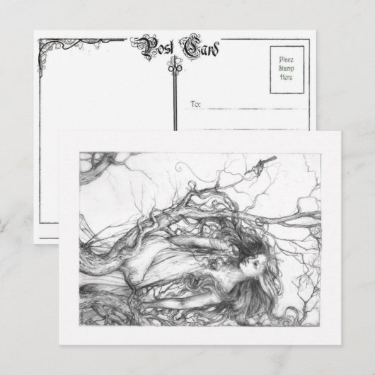 ウォレン ポストカード (正面/裏面)