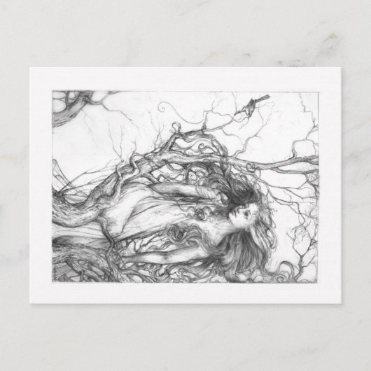 ウォレン ポストカード (正面)