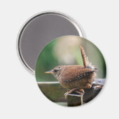 ウォレン マグネット (正面/裏面)