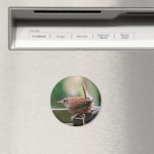 ウォレン マグネット (インサイチュ (食洗機))