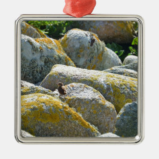 ウォレン メタルオーナメント