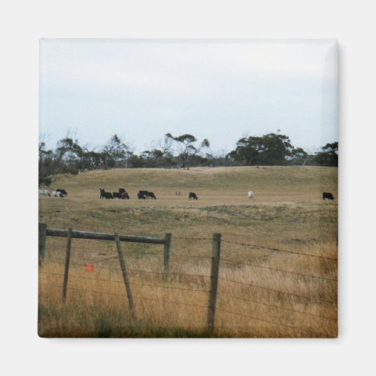 ウォンタギー マグネット (正面)