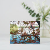 ウォンデンポンドスルー紅葉 ポストカード (スタンド正面)