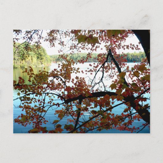 ウォンデンポンドスルー紅葉 ポストカード (正面)