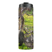 ウォンバットとカンガルー、熱タンブラー タンブラー (正面)